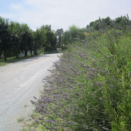 Le Spighe Agriturismo Cesena Eksteriør billede