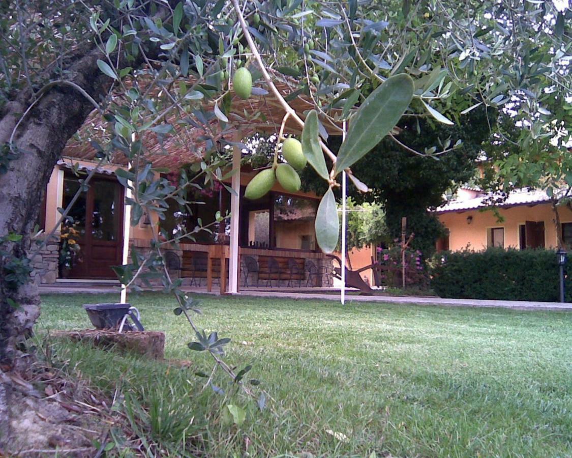 Le Spighe Agriturismo Cesena Eksteriør billede