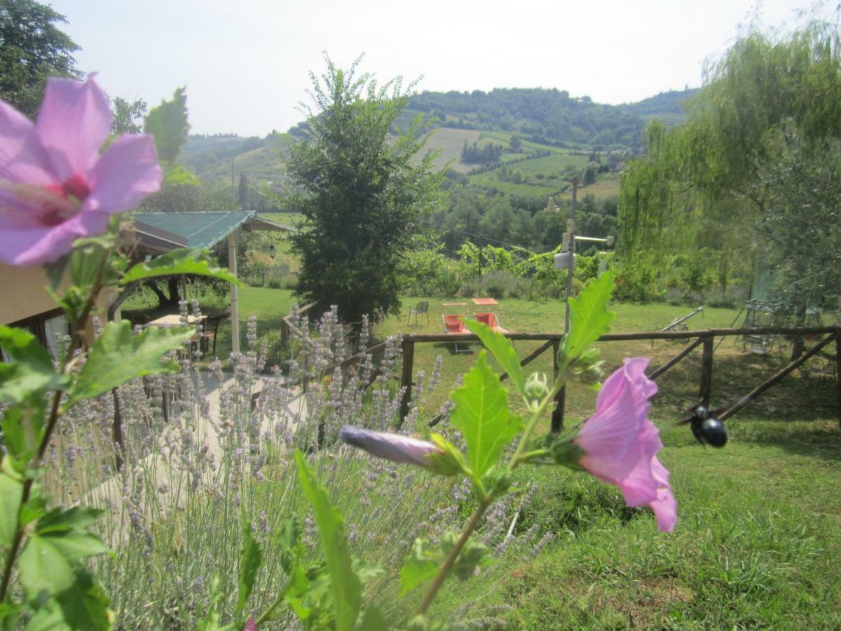Le Spighe Agriturismo Cesena Eksteriør billede