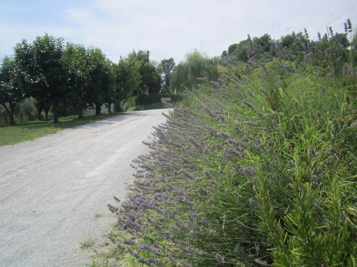 Le Spighe Agriturismo Cesena Eksteriør billede
