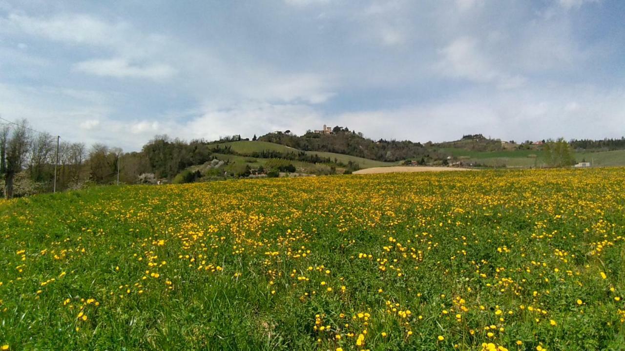 Le Spighe Agriturismo Cesena Eksteriør billede