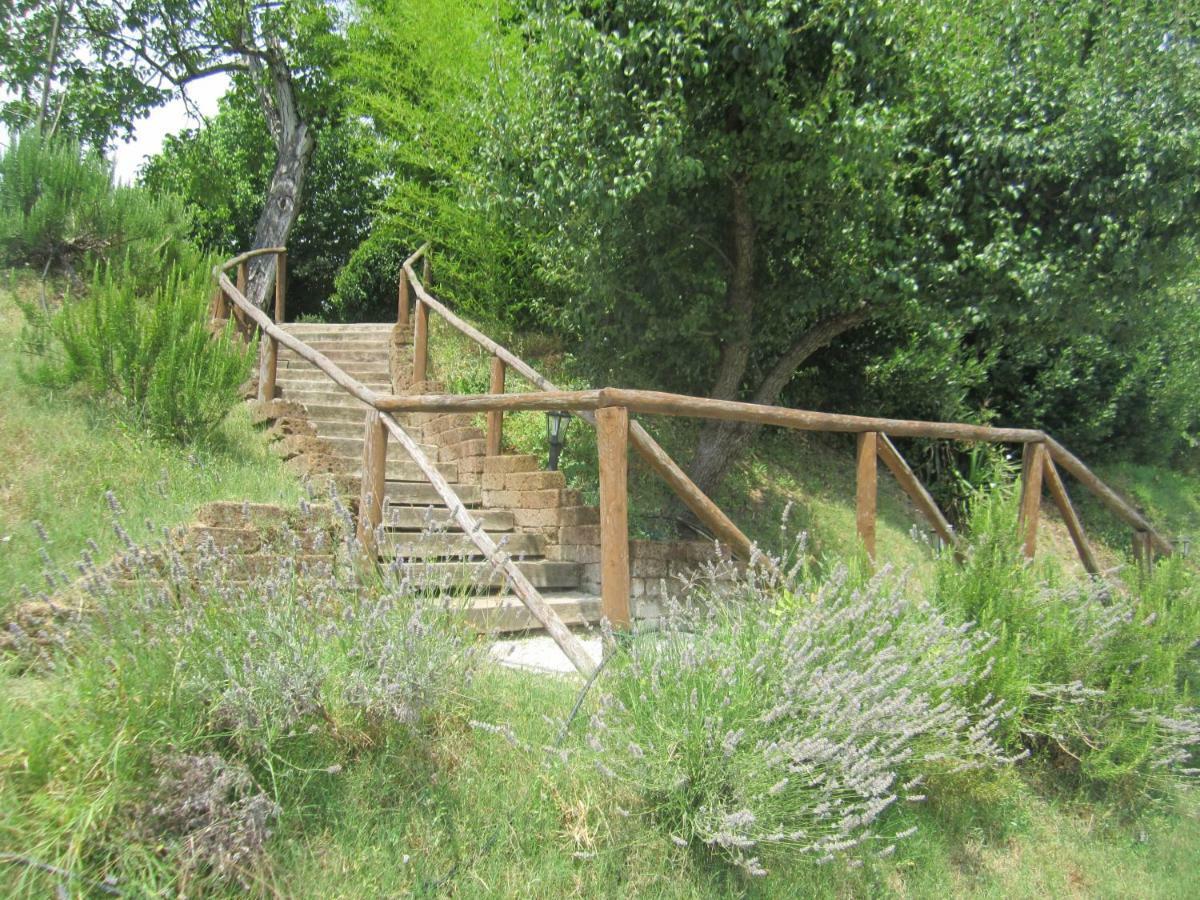 Le Spighe Agriturismo Cesena Eksteriør billede